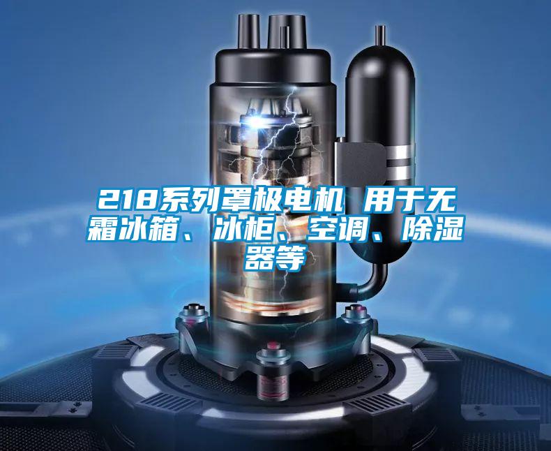 218系列罩极电机 用于无霜冰箱、冰柜、空调、除湿器等