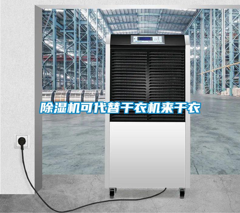 麻豆视频黄网站可代替干衣机来干衣