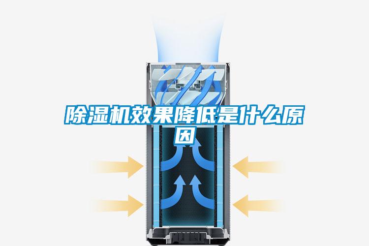 麻豆视频黄网站效果降低是什么原因