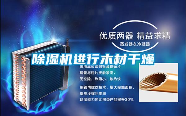 麻豆视频黄网站进行木材干燥