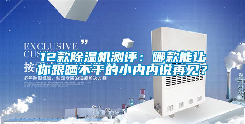 12款麻豆视频黄网站测评：哪款能让你跟晒不干的小内内说再见？
