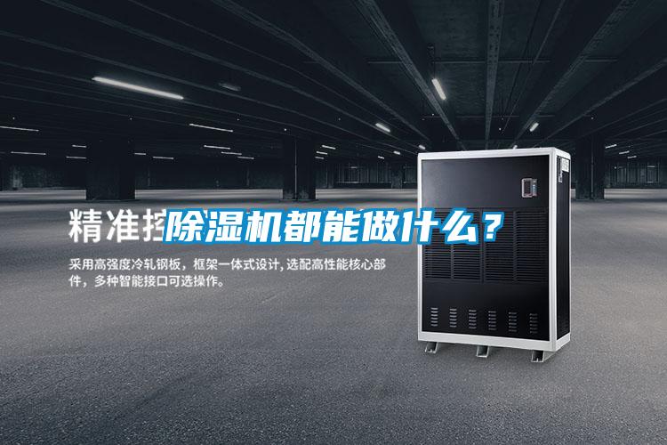麻豆视频黄网站都能做什么？