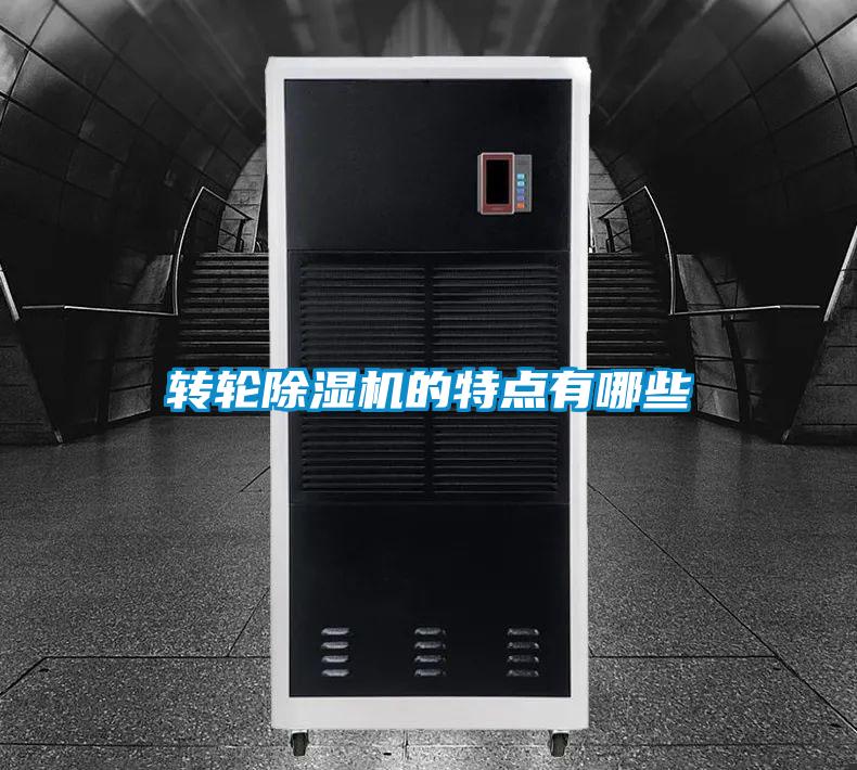 转轮麻豆视频黄网站的特点有哪些