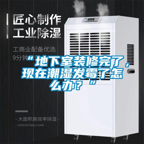 “地下室装修完了，现在潮湿发霉了怎么办？”