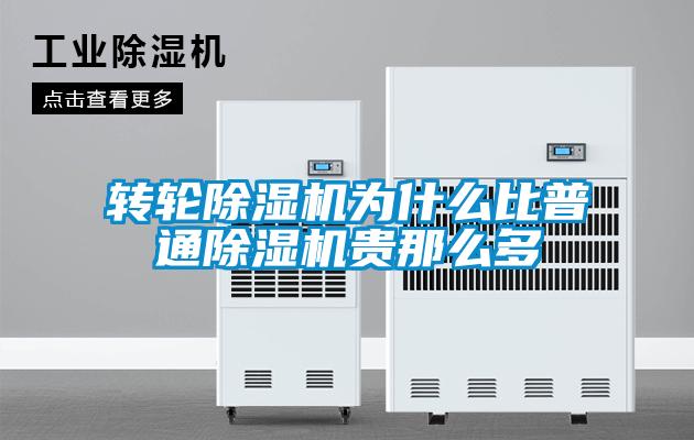 转轮麻豆视频黄网站为什么比普通麻豆视频黄网站贵那么多