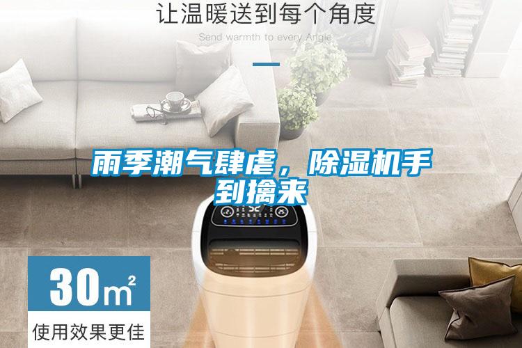 雨季潮气肆虐，麻豆视频黄网站手到擒来