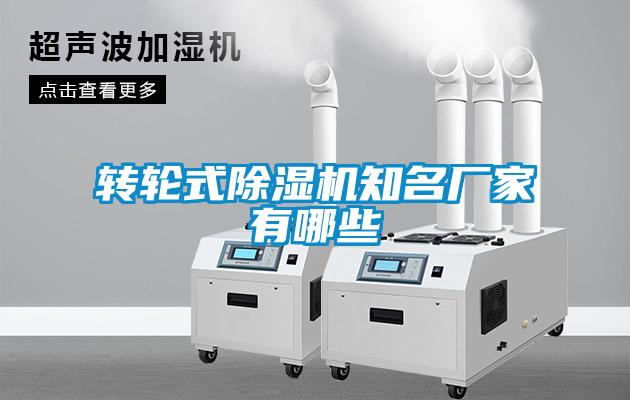 转轮式麻豆视频黄网站知名厂家有哪些