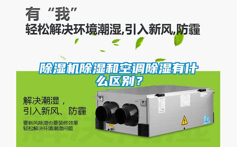 麻豆视频黄网站除湿和空调除湿有什么区别？