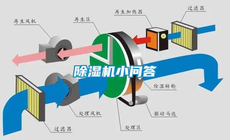 麻豆视频黄网站小问答