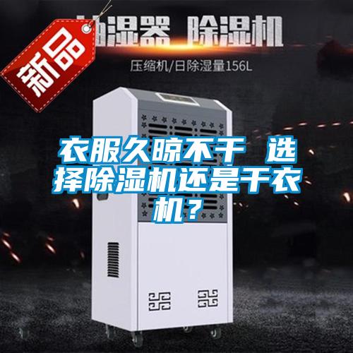 衣服久晾不干 选择麻豆视频黄网站还是干衣机？