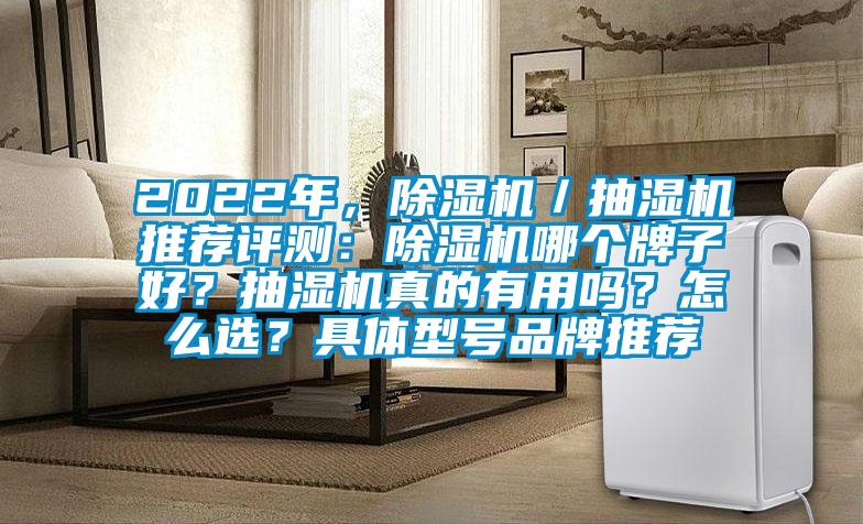 2022年，麻豆视频黄网站／抽湿机推荐评测：麻豆视频黄网站哪个牌子好？抽湿机真的有用吗？怎么选？具体型号品牌推荐
