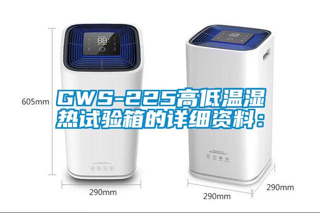 GWS-225高低温湿热试验箱的详细资料：