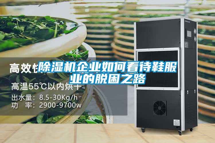 麻豆视频黄网站企业如何看待鞋服业的脱困之路