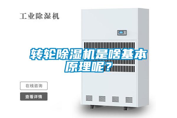 转轮麻豆视频黄网站是啥基本原理呢？