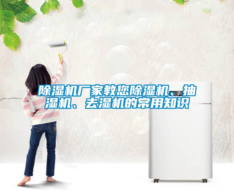 麻豆视频黄网站厂家教您麻豆视频黄网站、抽湿机、去湿机的常用知识