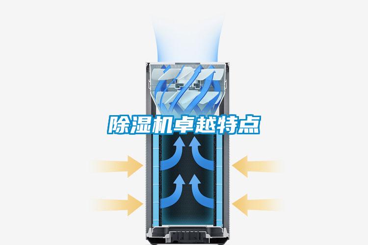 麻豆视频黄网站卓越特点