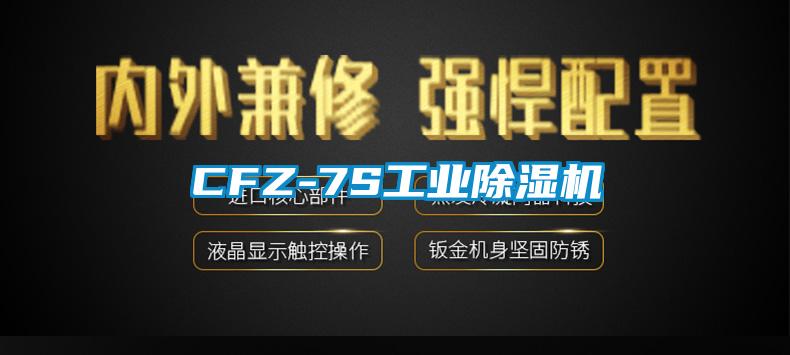 CFZ-7S工业麻豆视频黄网站
