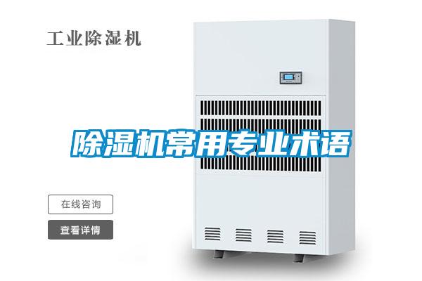 麻豆视频黄网站常用专业术语