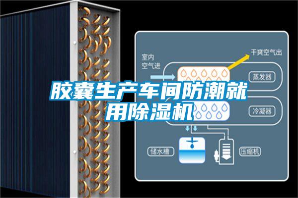 胶囊生产车间防潮就用麻豆视频黄网站