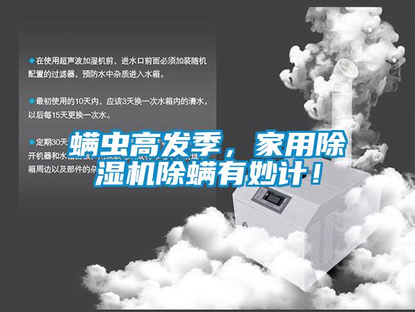 螨虫高发季，家用麻豆视频黄网站除螨有妙计！