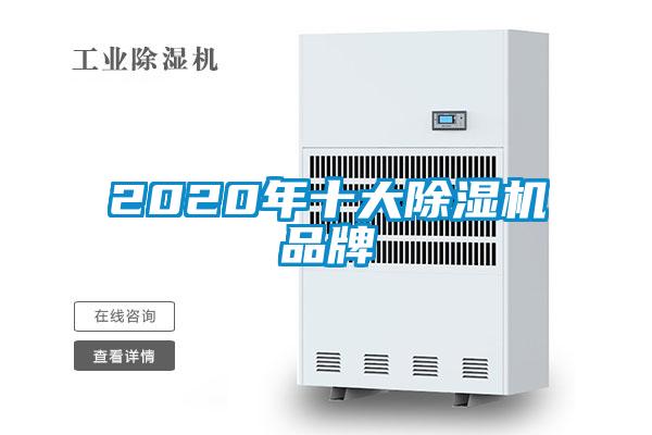 2020年十大麻豆视频黄网站品牌