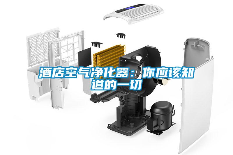 酒店空气净化器：你应该知道的一切