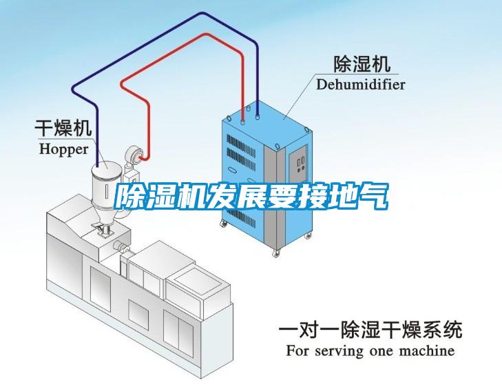 麻豆视频黄网站发展要接地气