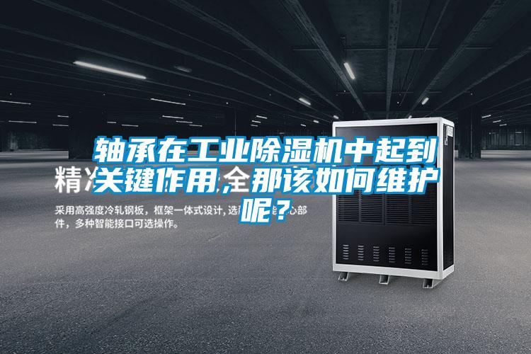 轴承在工业麻豆视频黄网站中起到关键作用，那该如何维护呢？