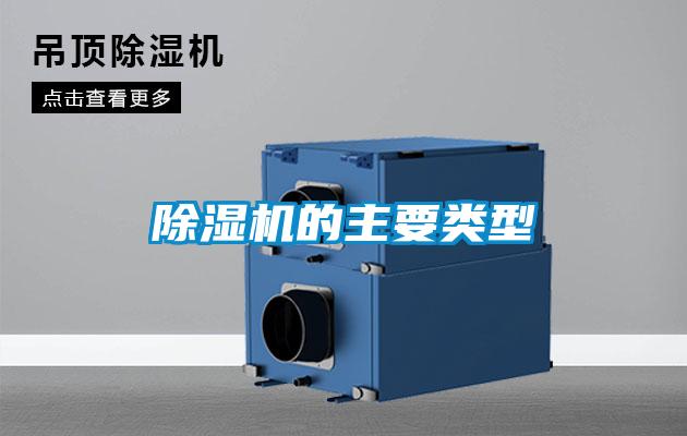 麻豆视频黄网站的主要类型