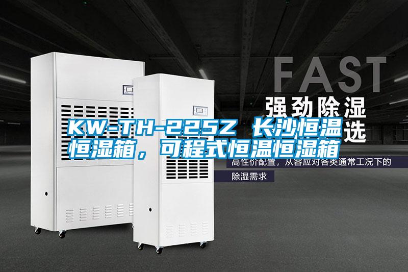 KW-TH-225Z 长沙恒温恒湿箱，可程式恒温恒湿箱