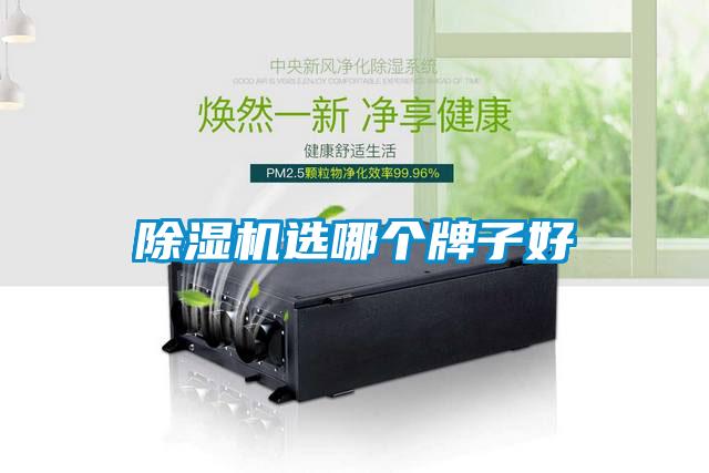 麻豆视频黄网站选哪个牌子好