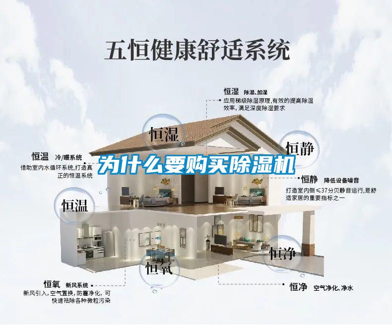 为什么要购买麻豆视频黄网站