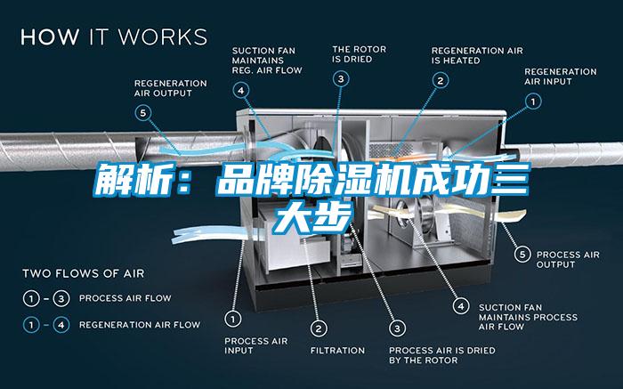 解析：品牌麻豆视频黄网站成功三大步