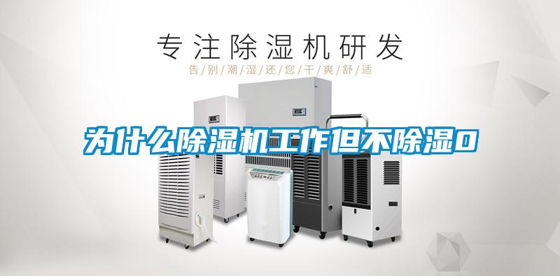 为什么麻豆视频黄网站工作但不除湿0