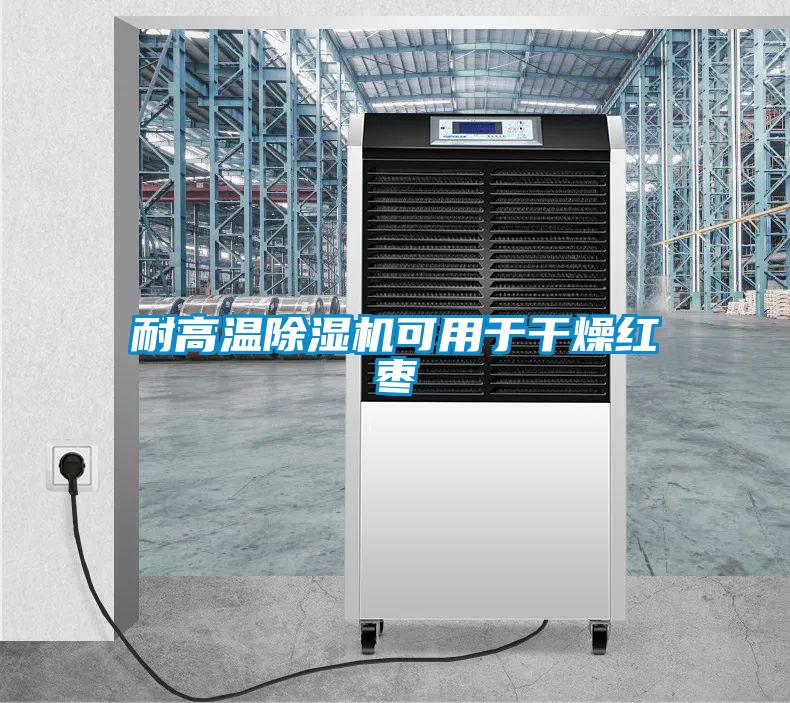 耐高温麻豆视频黄网站可用于干燥红枣