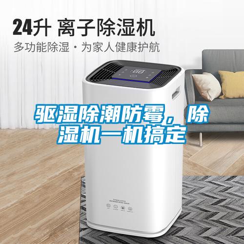 驱湿除潮防霉，麻豆视频黄网站一机搞定