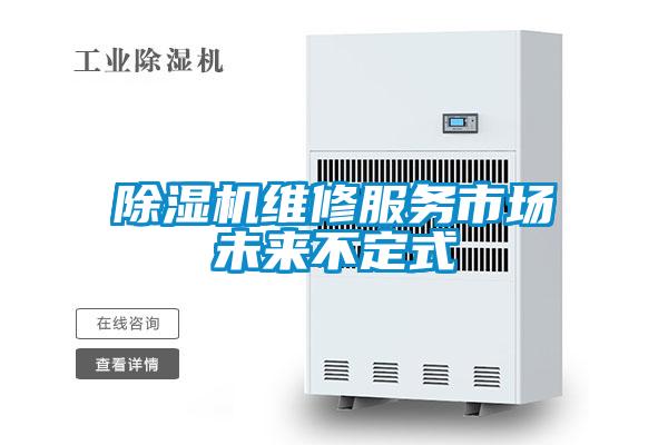 麻豆视频黄网站维修服务市场未来不定式