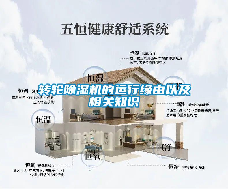 转轮麻豆视频黄网站的运行缘由以及相关知识
