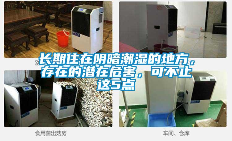 长期住在阴暗潮湿的地方，存在的潜在危害，可不止这5点
