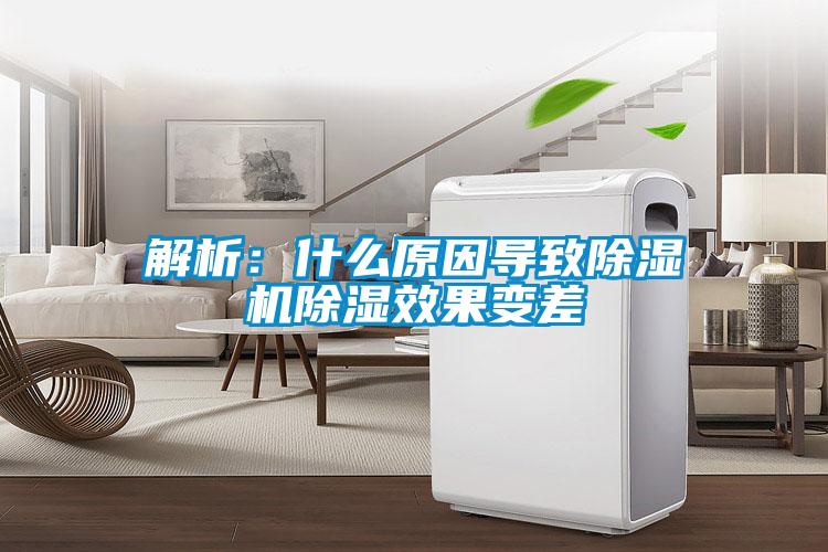 解析：什么原因导致麻豆视频黄网站除湿效果变差