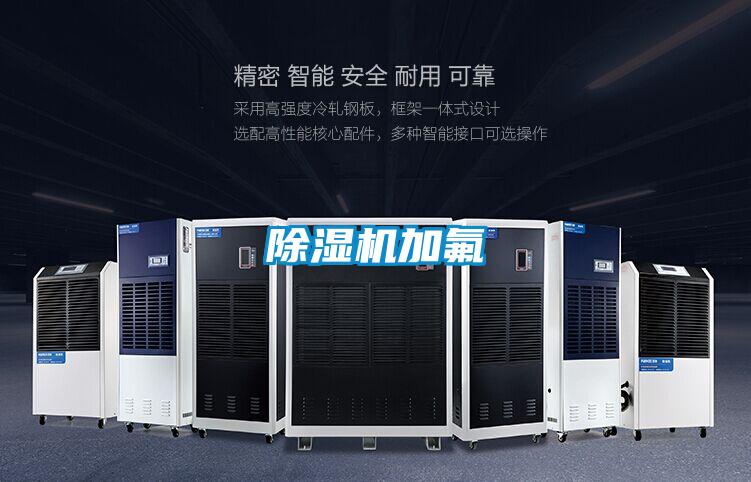 麻豆视频黄网站加氟