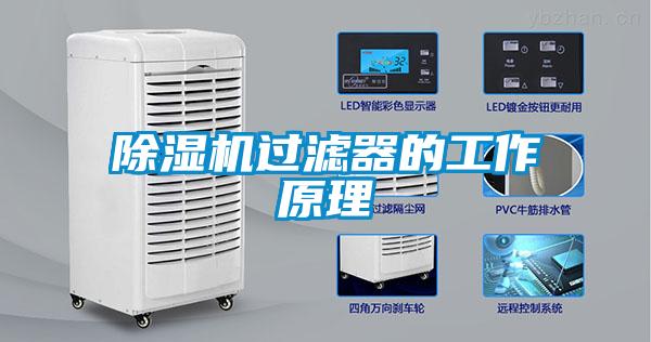 麻豆视频黄网站过滤器的工作原理