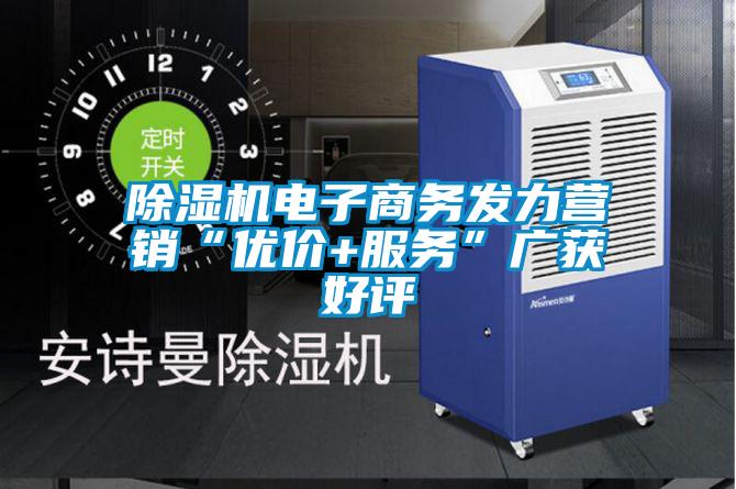 麻豆视频黄网站电子商务发力营销“优价+服务”广获好评