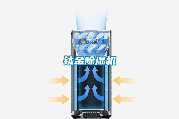 钛金麻豆视频黄网站