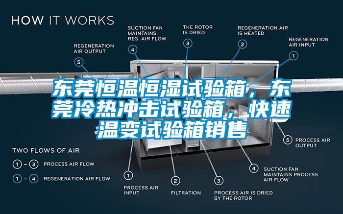 东莞恒温恒湿试验箱，东莞冷热冲击试验箱，快速温变试验箱销售