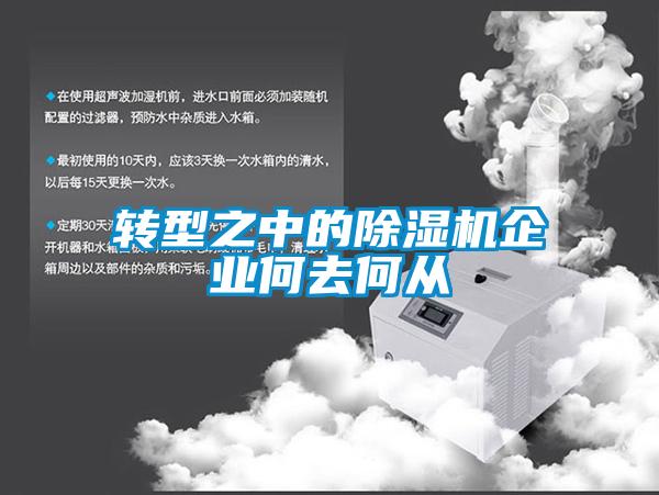 转型之中的麻豆视频黄网站企业何去何从
