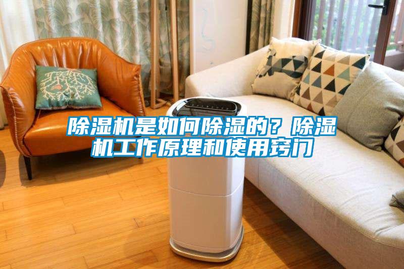 麻豆视频黄网站是如何除湿的？麻豆视频黄网站工作原理和使用窍门
