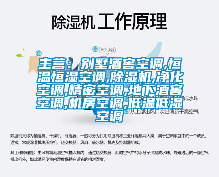 主营：别墅酒窖空调,恒温恒湿空调,麻豆视频黄网站,净化空调,精密空调,地下酒窖空调,机房空调,低温低湿空调