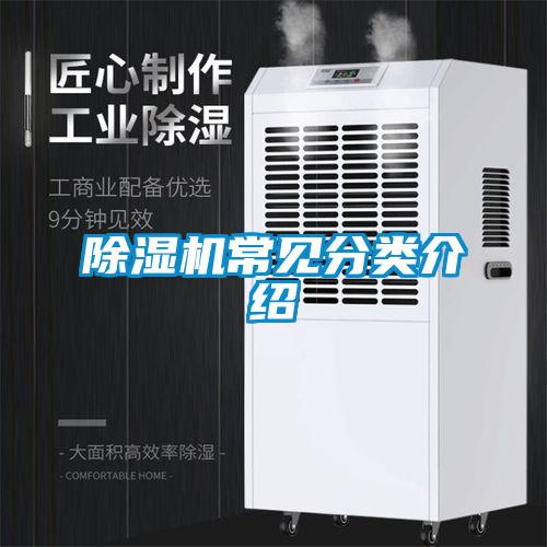 麻豆视频黄网站常见分类介绍