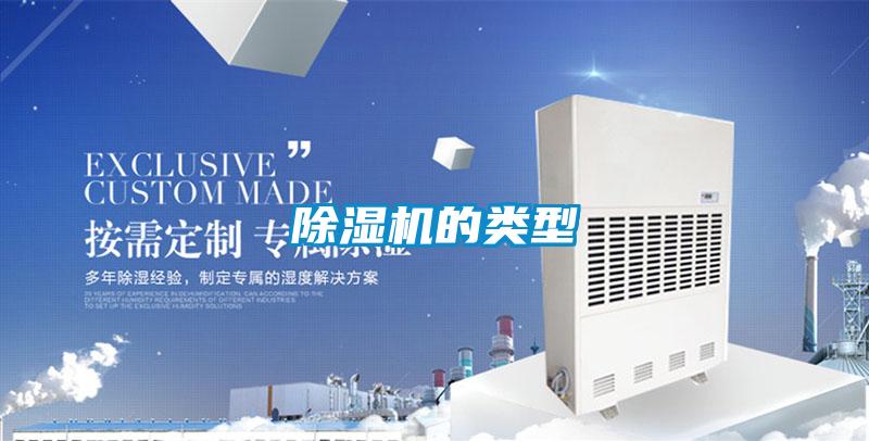 麻豆视频黄网站的类型
